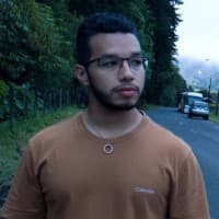 Developer